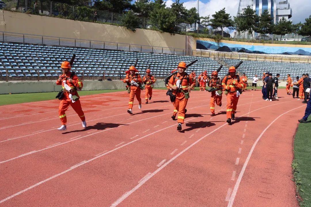 1695093817959596.jpg 0dfdfcfd43eeba9f66a95efb10aa39dd.jpg